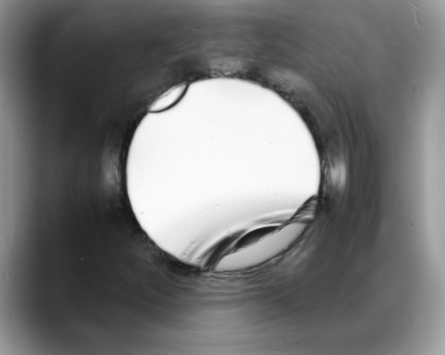 X0000088131252200706111401