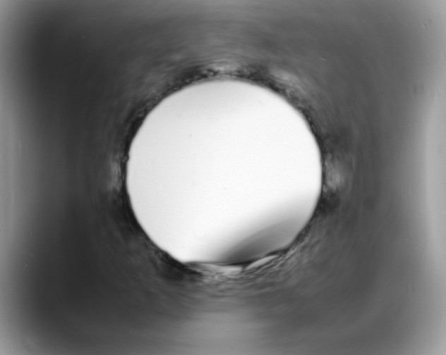 X0000088131253200706111401