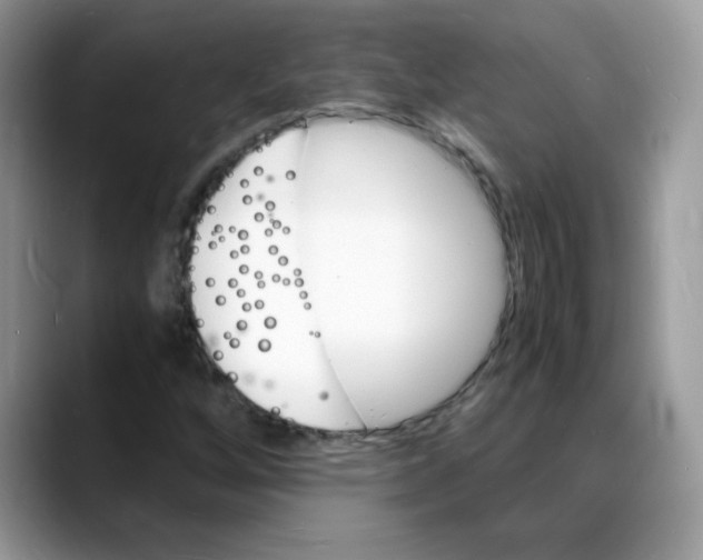 X0000088131256200706111401