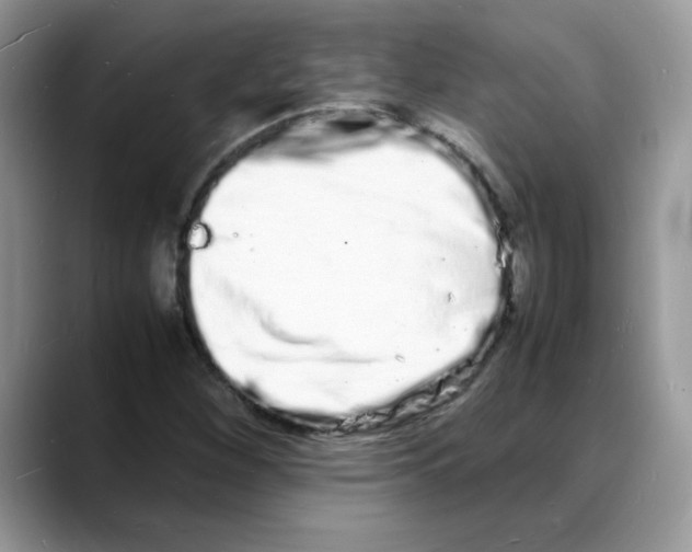 X0000088131260200706111401