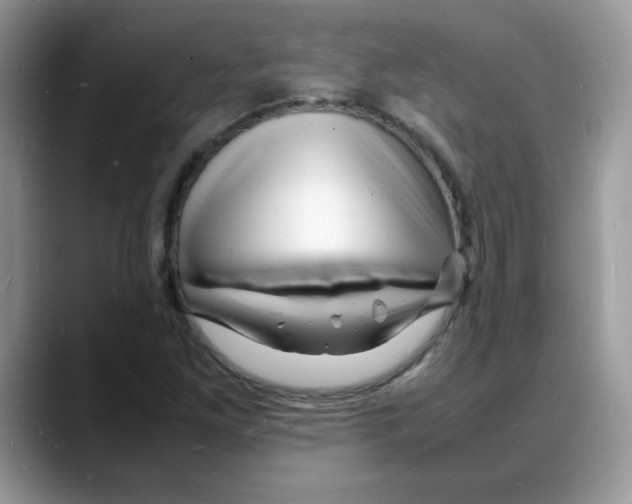 X0000088131261200706111401