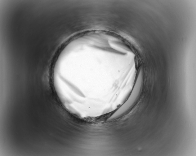 X0000088131264200706111401