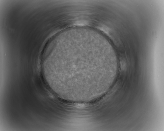 X0000088131266200706111401