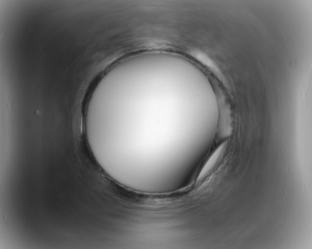 X0000088131269200706111401