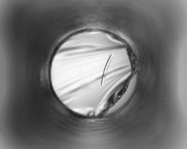 X0000088131272200706111401