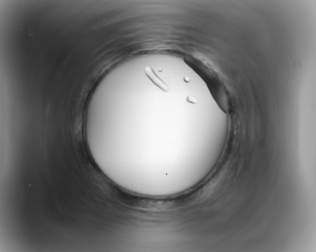 X0000088131273200706111401