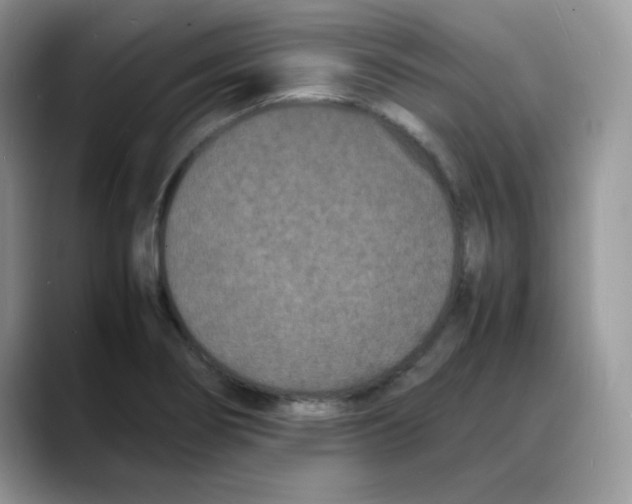 X0000088131274200706111401