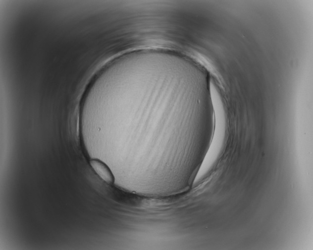 X0000088131275200706111401