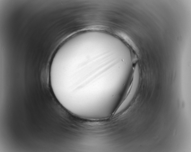 X0000088131276200706111401