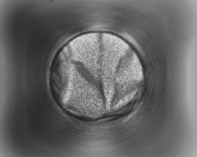 X0000088131277200706111401