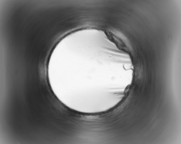 X0000088131280200706111401