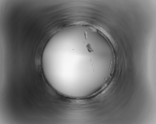 X0000088131281200706111401