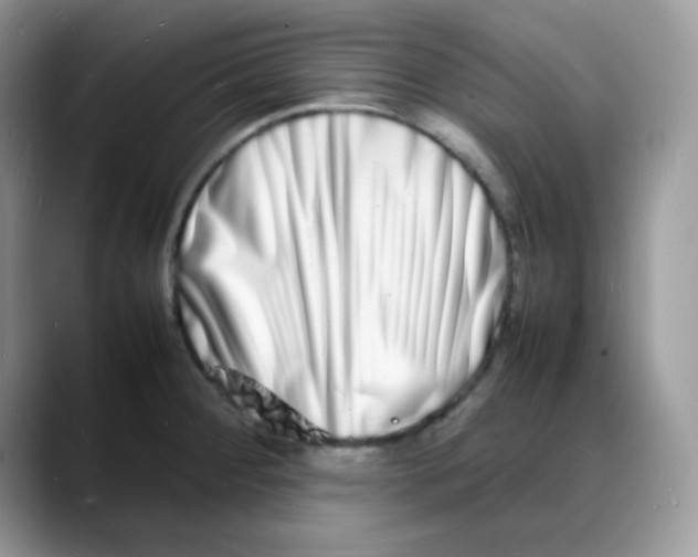 X0000088131284200706111401