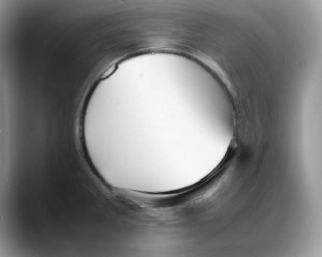 X0000088131285200706111401