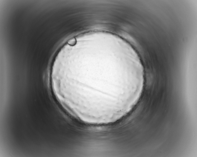 X0000088131286200706111401