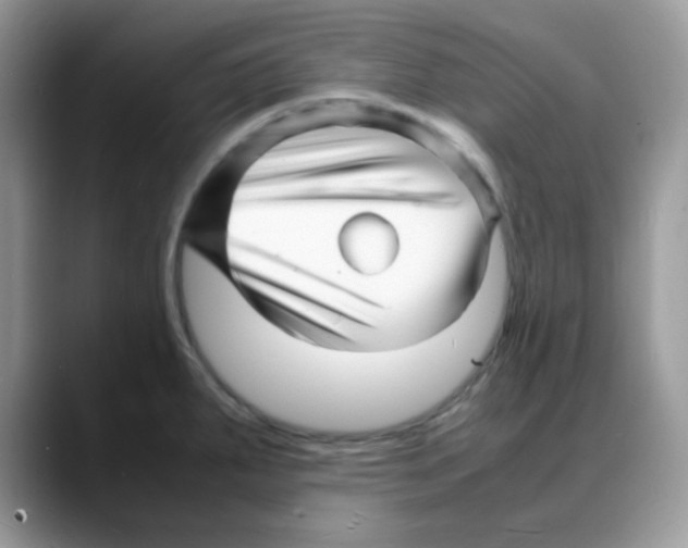 X0000088131287200706111401