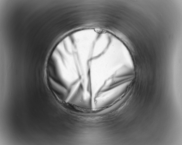 X0000088131288200706111401