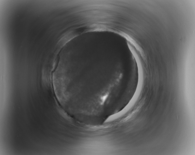 X0000088131289200706111401