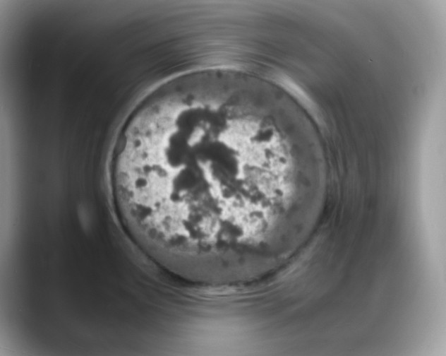 X0000088131291200706111400