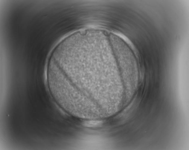 X0000088131294200706111400