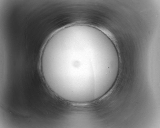 X0000088131296200706111400