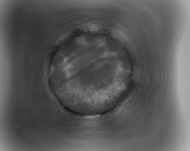 X0000088131297200706111400