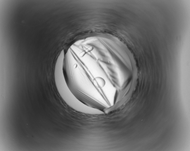 X0000088131298200706111400