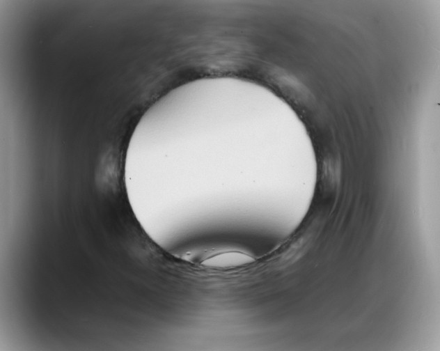 X0000088131300200706111400