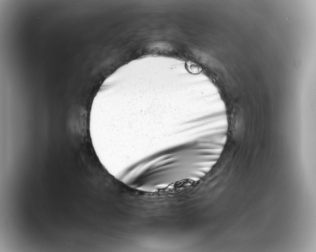 X0000088131301200706111400