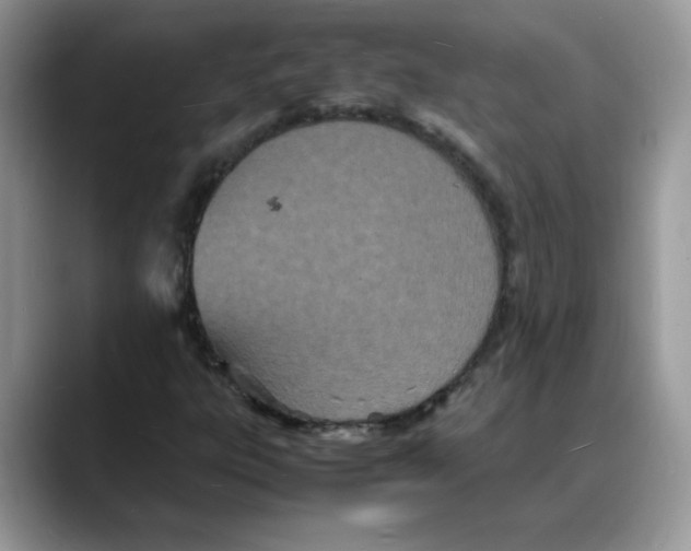 X0000088131303200706111400