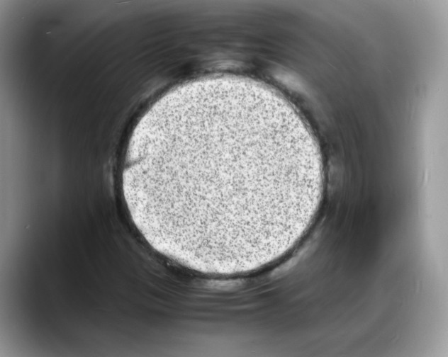 X0000088131305200706111400