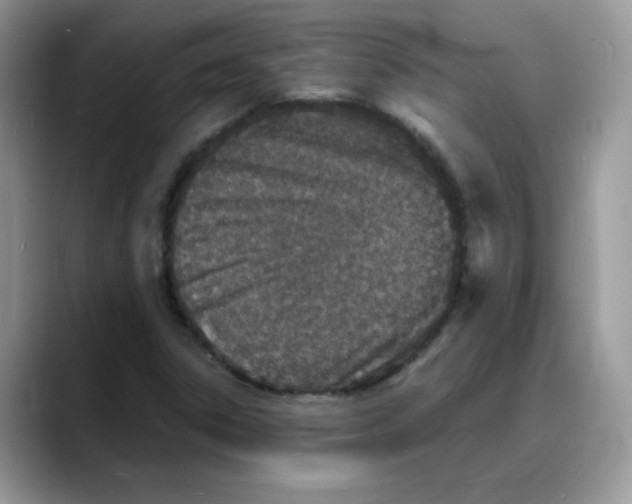 X0000088131306200706111400