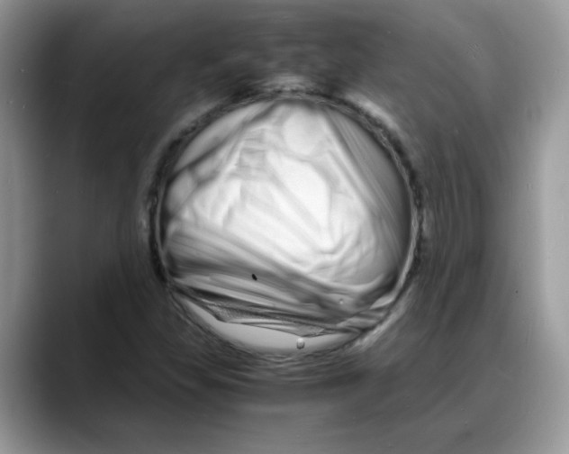 X0000088131309200706111400