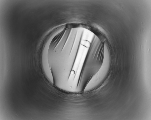 X0000088131310200706111400