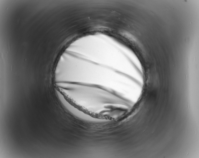 X0000088131313200706111400