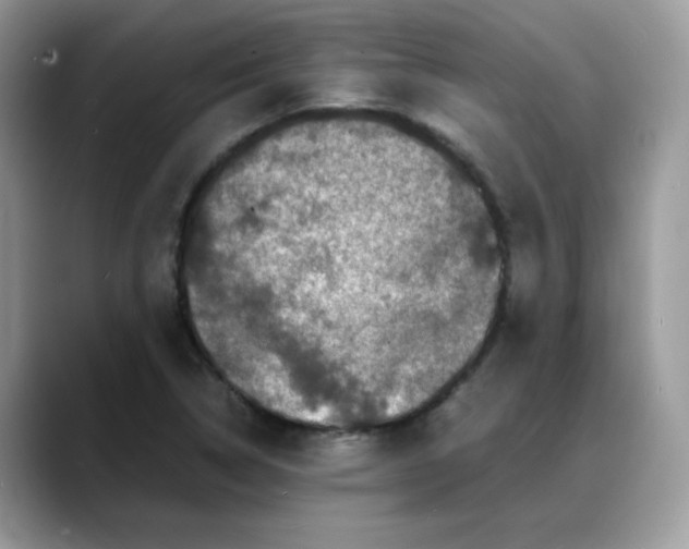 X0000088131314200706111400