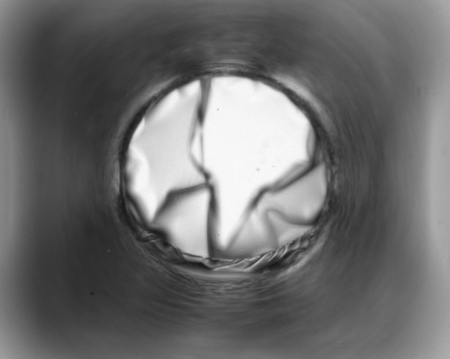 X0000088131317200706111400