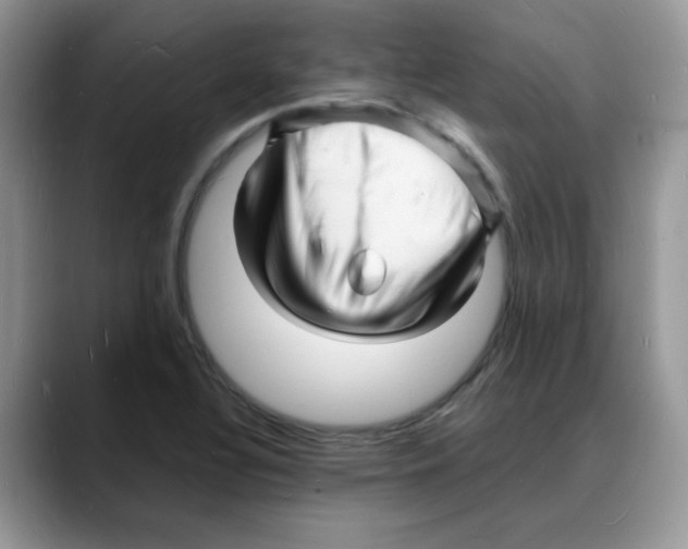 X0000088131320200706111400