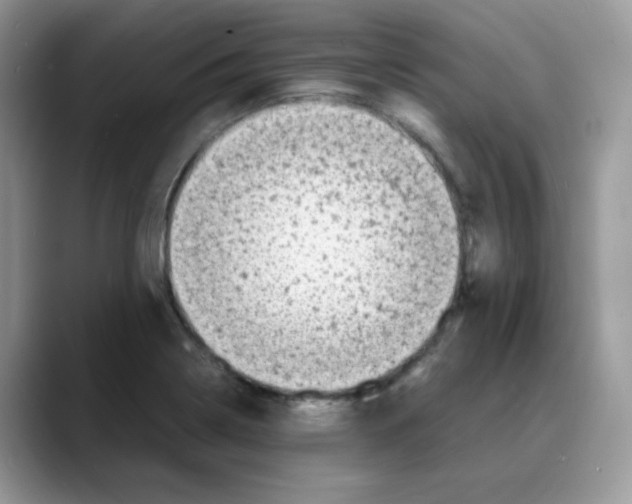 X0000088131322200706111400