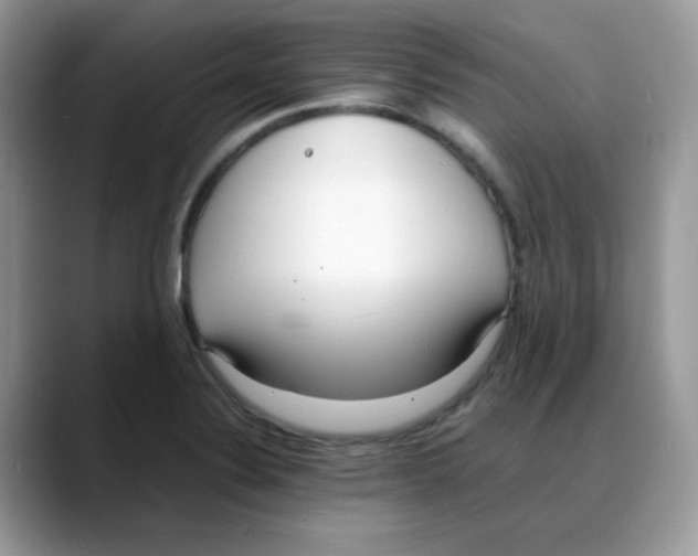 X0000088131324200706111400