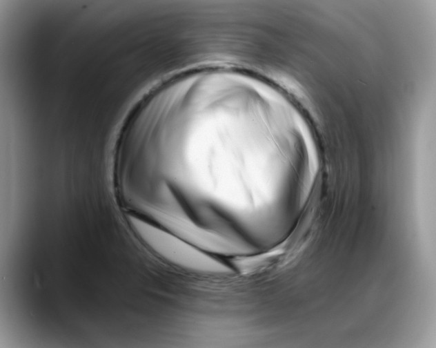 X0000088131326200706111400