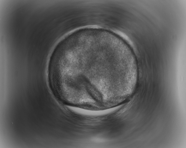 X0000088131327200706111400