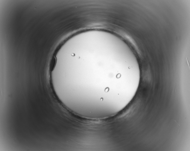 X0000088131328200706111400