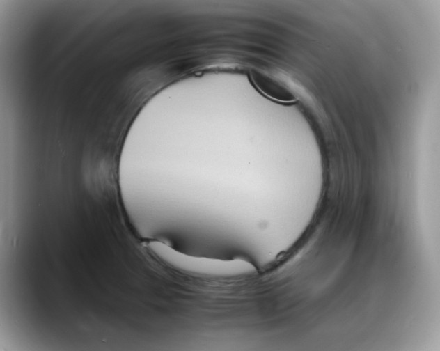 X0000088131329200706111400