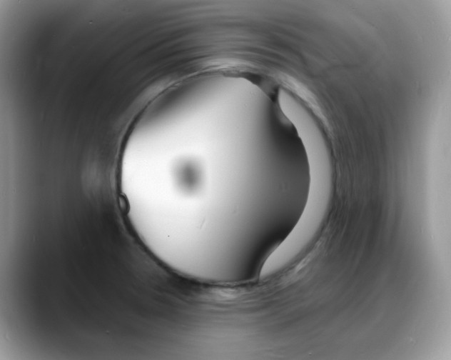 X0000088131330200706111400