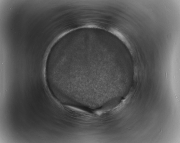 X0000088131331200706111400