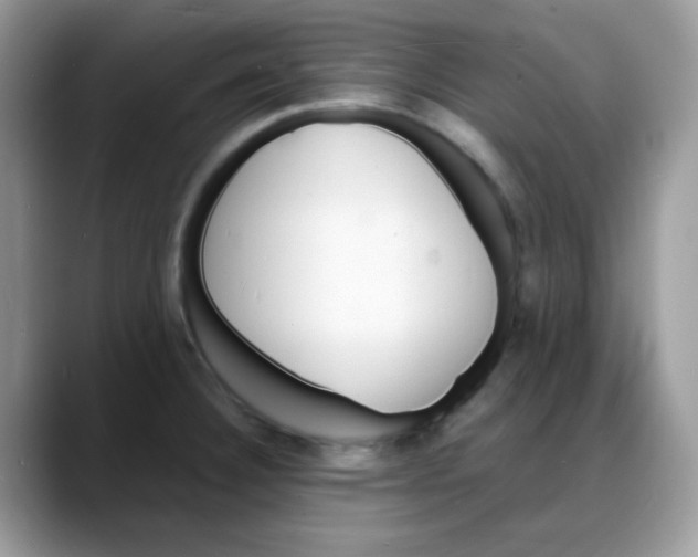 X0000088131332200706111400