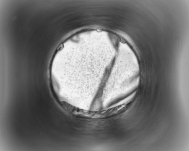 X0000088131335200706111400