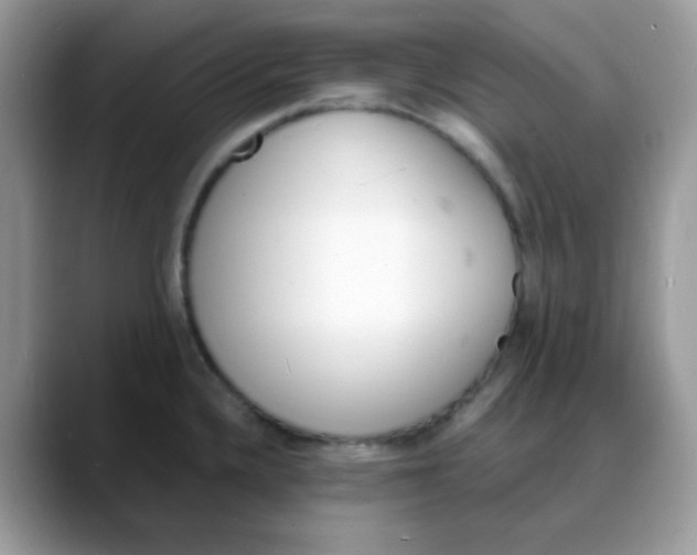 X0000088131336200706111400