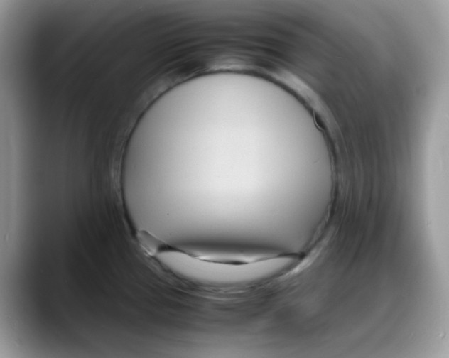 X0000088131337200706111400